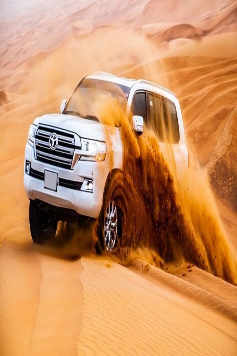 VIP Desert Safari