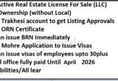 ACTIVE REAL ESTATE BUSINESS LICENSE FOR SALE