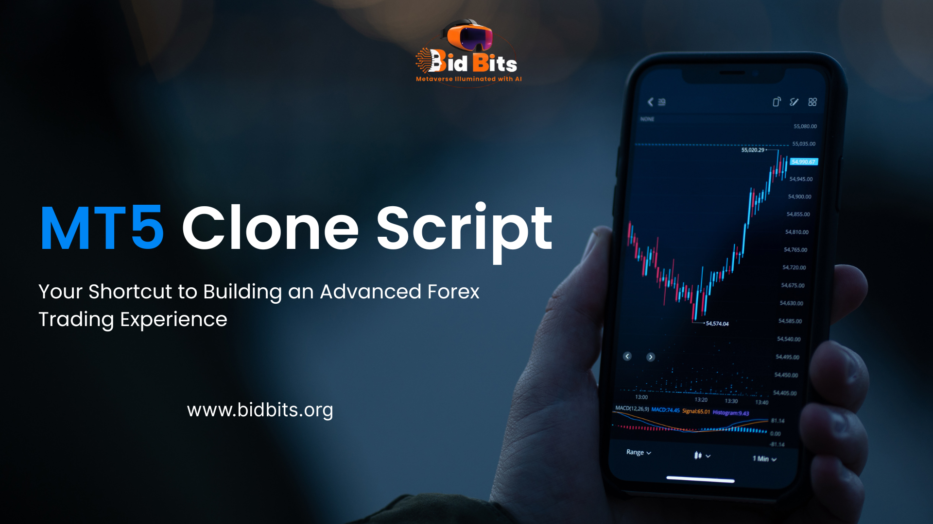 Best MT5 Clone Script Provider In USA